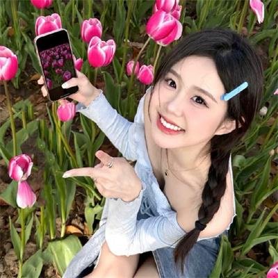 龙虎双侠